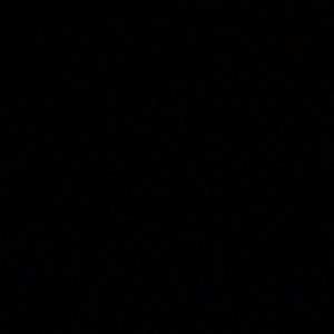 Meet your Posher, Antoine